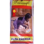 PERRO PRICAMPO ALTA ENERGIA